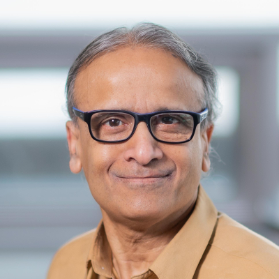 Laks V.S. Lakshmanan